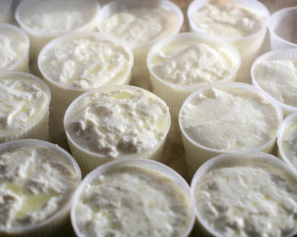 Azienda Agricola Biologica Luca Cammarata