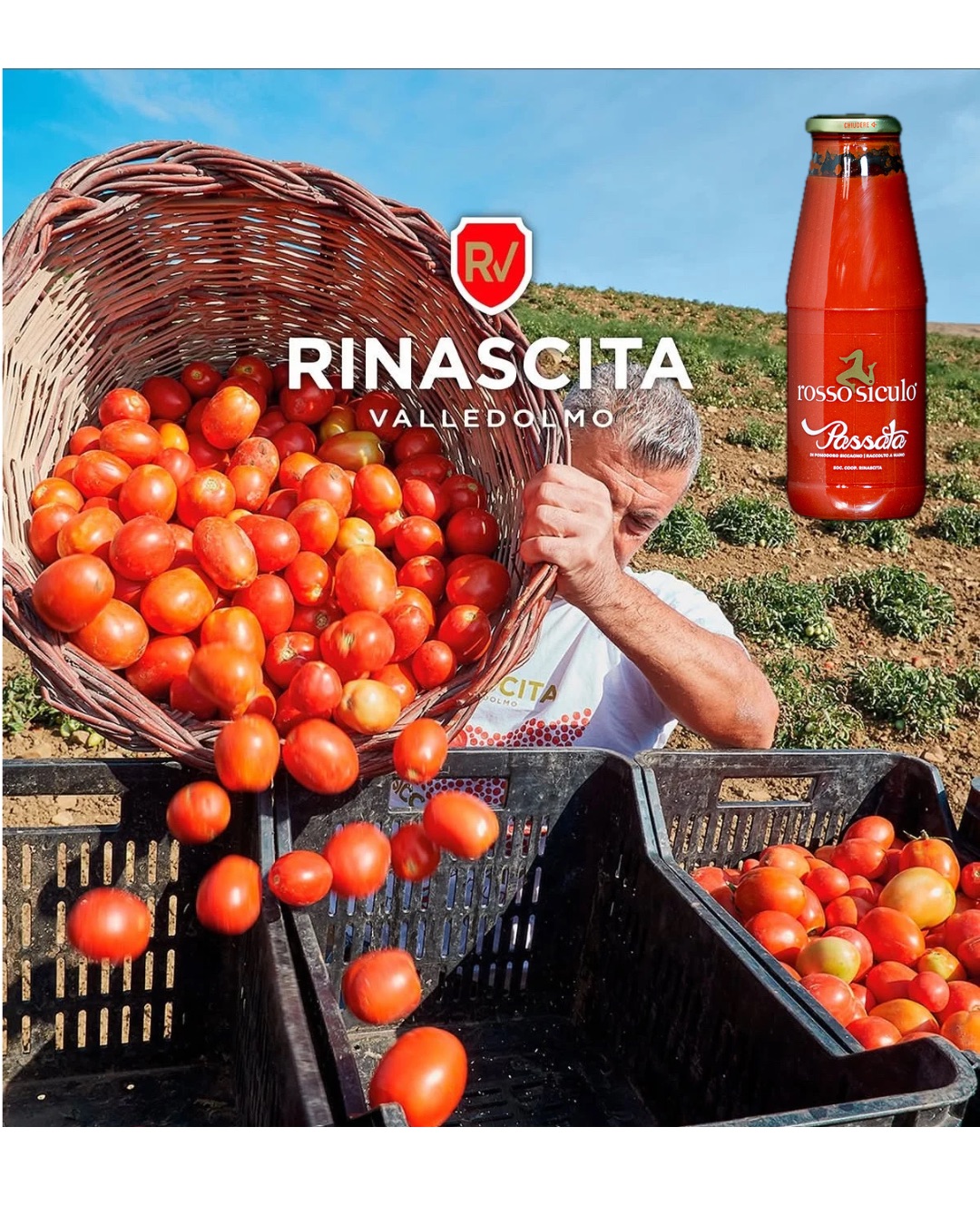 Die Siccagno-Tomate, ein Schatz, der aus der Notwendigkeit entsteht