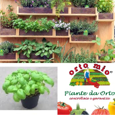 Fotografia caricata da OIP
